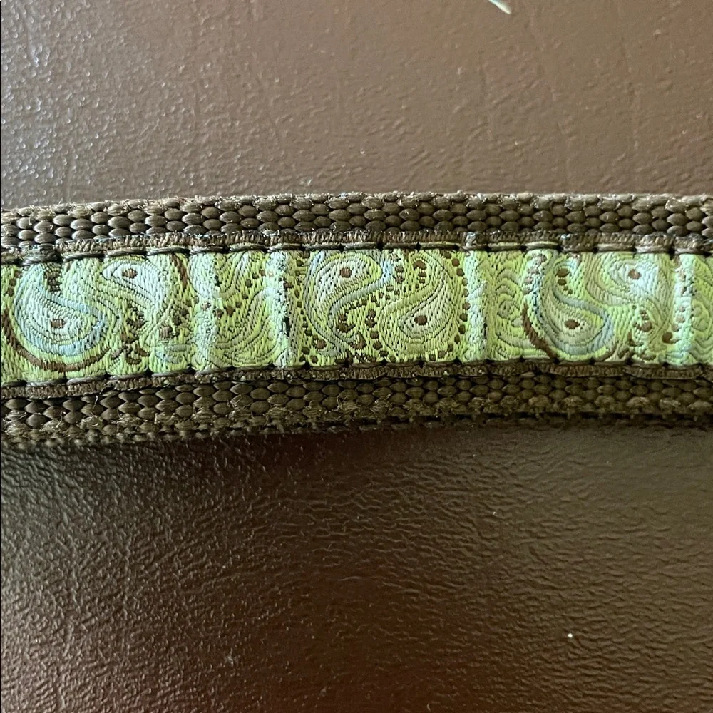 Brown and Green Dog Leash 44”